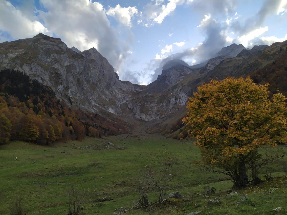 Çò dera Piusa Vielha Exterior foto